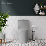 Swiss Madison Dreux One Piece Elongated Dual Flush Toilet with 0.95/1.26 GPF