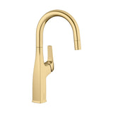 Blanco Rivana Pull-Down Bar Faucet Blanco