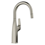 Blanco Rivana Pull-Down Bar Faucet Blanco