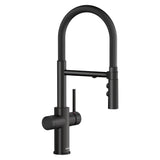 Blanco Catris Flexo Filter-Ready Semi-Pro Pull-Down Dual-Spray Kitchen Faucet Blanco